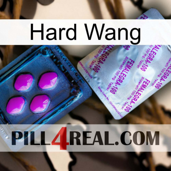 Hard Wang 37.jpg